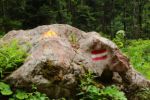 2014-07-05_Laengental-N-Hochweg (961). JPG